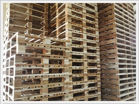 Pallet gỗ 1550 x 1555 x 130mm